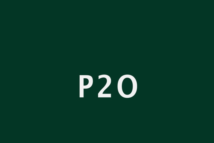 P2O